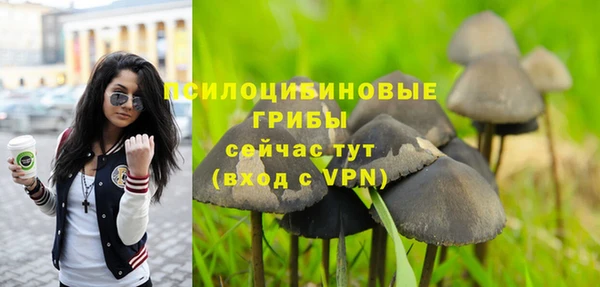 а пвп мука Коряжма