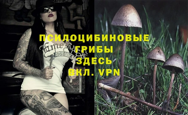 синтетический гашиш Корсаков