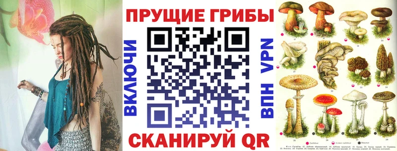 Галлюциногенные грибы MAGIC MUSHROOMS  Купить  Уржум 